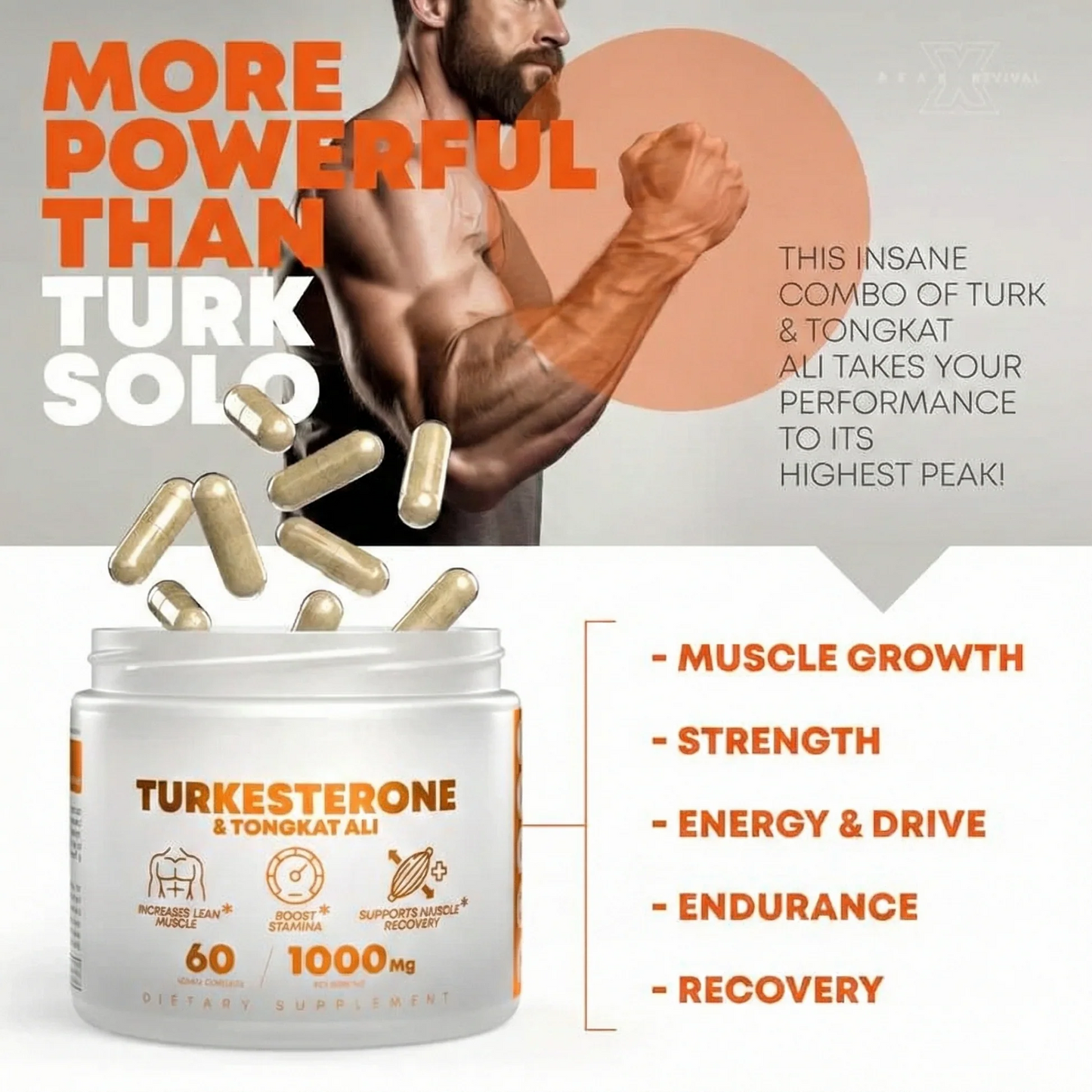 Muscle Stack Turkesterone + Fadogia